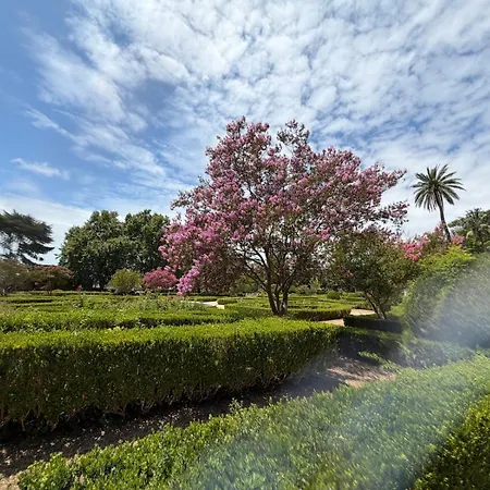 Botanico * Лиссабон