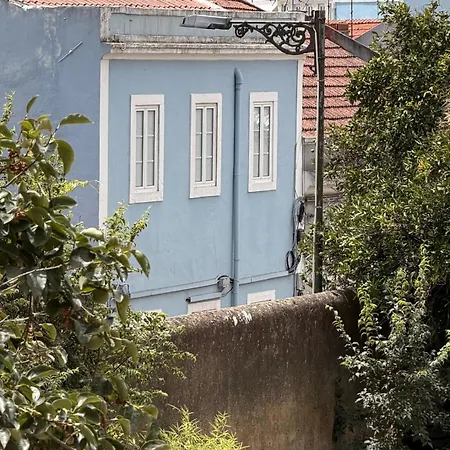 Botanico Lisboa