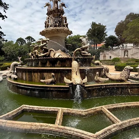 Апартаменты Botanico