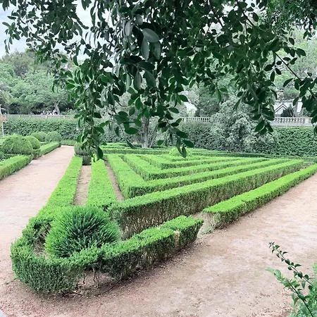 Апартаменты Botanico *